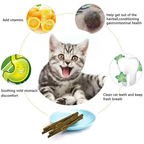 6PCS Natural Matatabi Cat Sticks – Silvervine Teeth Cleaning Treat & Cat Chew Toy