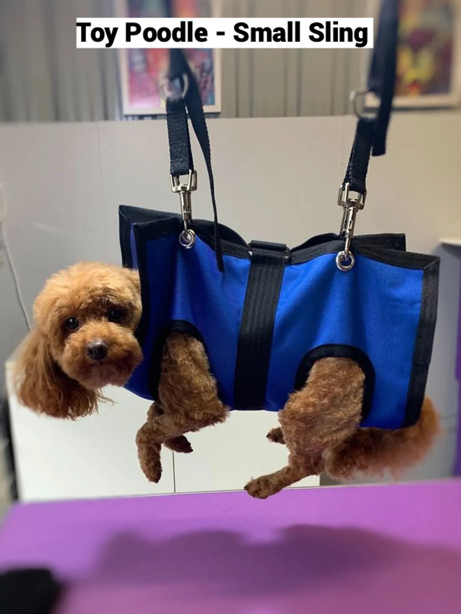 PET GROOMING SLING
